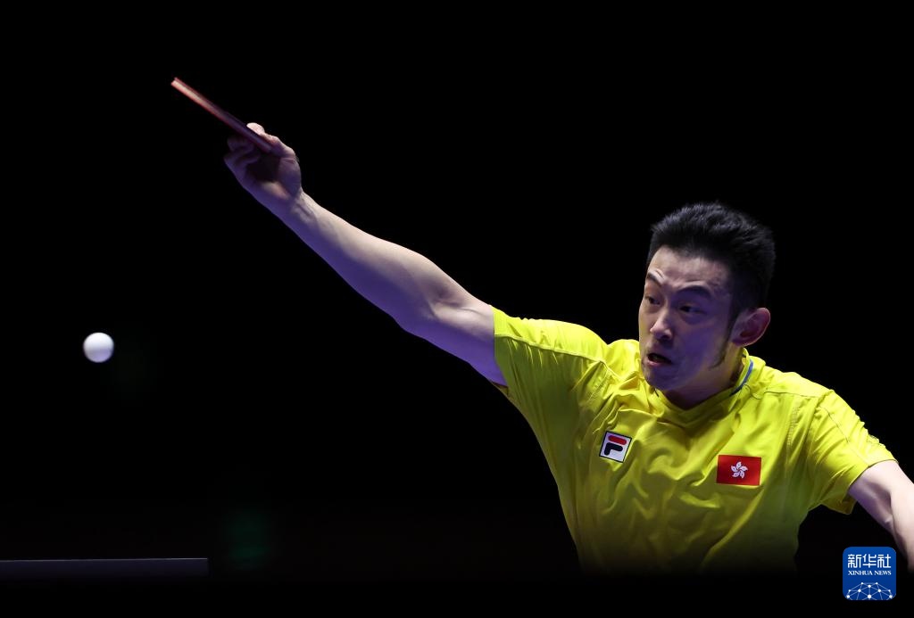 但理性解读 但理性解读