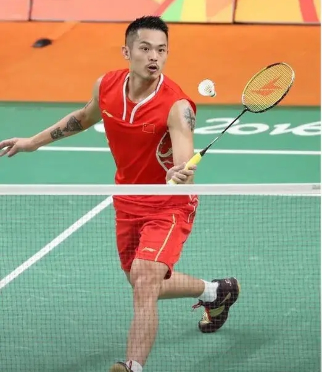 的集中展示 的集中展示